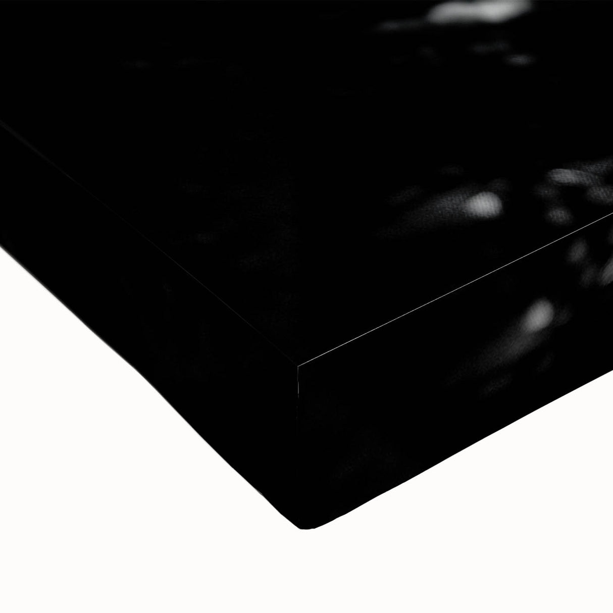 Large art of Adelaide landscape in black and white on stretched canvas, suitable for bedroom wall decor.