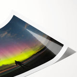 Extra large wall art featuring line art flowers in monochrome, printed on rolled canvas.