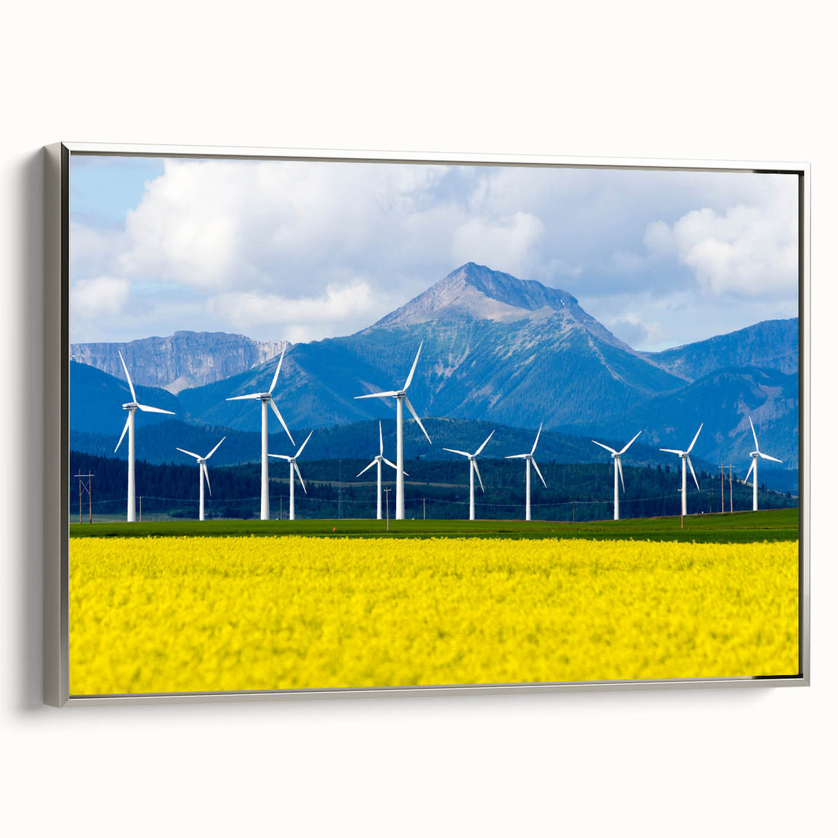 Black and white framed canvas of Alberta landscape, ideal for bedroom wall decor.