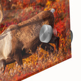 Large abstract wall art of the Northwest Territories in muted earth tones on acrylic glass, ideal for dining room art.