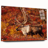 Acrylic glass print of a serene Northwest Territories landscape, ideal for bedroom or dining room wall art.