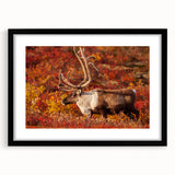 Extra large abstract art print featuring a colorful.