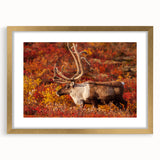 Extra large abstract art print depicting the rugged terrain of the Northwest Territories, in a gold frame with mat.