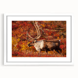 Abstract art print of Northwest Territories landscape in muted earth tones on a framed white mat.
