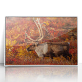 Acrylic print of a serene Northwest Territories landscape in muted earth tones, framed in white.