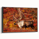 Framed canvas featuring a black and white landscape of the Northwest Territories, ideal for bedroom wall art.