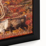 Extra large framed canvas featuring a textured portrayal of Northwest Territories scenery in black with colorful art accents.