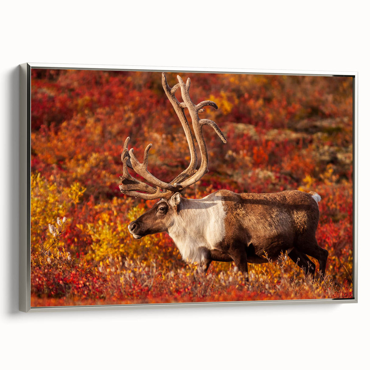Landscape art painting of the Northwest Territories on a framed canvas.