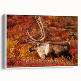 Vintage poster art of Northwest Territories scenery on a framed canvas, featuring a colorful palette.