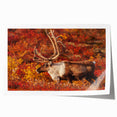 Extra large rolled canvas print depicting vibrant floral scenery of the Northwest Territories.