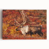 Black and white photo of Northwest Territories landscape on large stretched canvas, suitable for kitchen wall art.