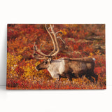 Black and white stretched canvas of Northwest Territories landscape, ideal for kitchen wall art or bedroom ambiance.