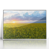 Acrylic print of a serene Saskatchewan landscape with soft blue and green tones, framed in white.