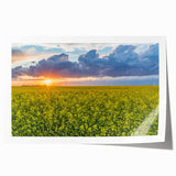 Extra large rolled print of a Saskatchewan scenery, featuring muted green and brown tones, ideal for art wall dining room.