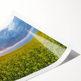 Extra large rolled print of line art flowers in muted earth tones, ideal for large living room wall art.