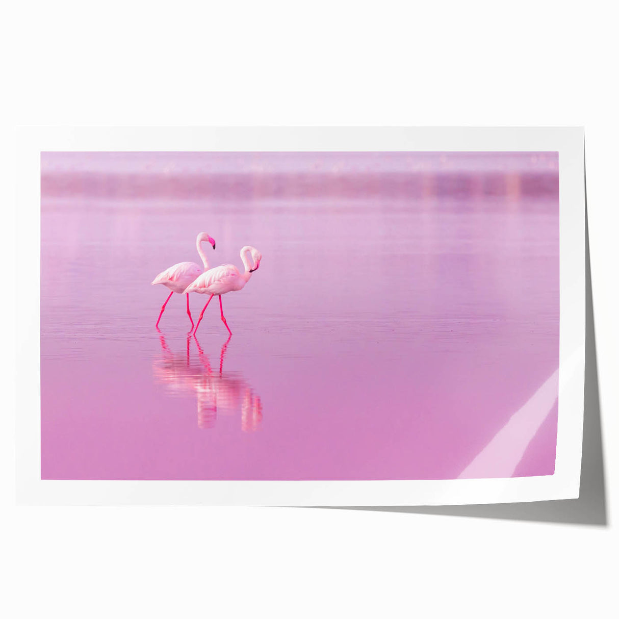 Extra large rolled print of a Caribbean Aruba scenery in vibrant twilight hues, ideal for art wall dining room.