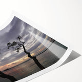 Extra large wall art featuring line art flowers in soft pastel shades on a rolled canvas, ideal for large living room decor.