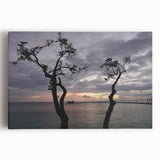 Black and white photograph of Caribbean scenery on stretched canvas, ideal for kitchen wall art or bedroom ambiance.