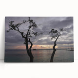 Large black and white stretched canvas of Caribbean Martinique scenery, ideal for kitchen wall art.