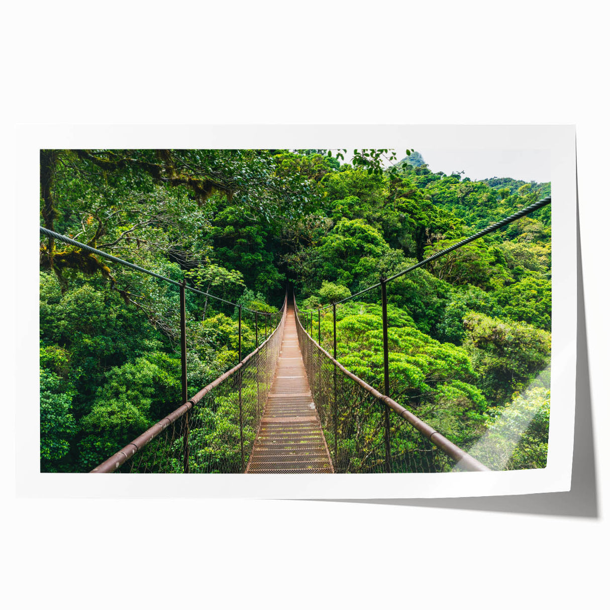 Rolled print of a Costa Rican landscape featuring lush greenery and vibrant flowers, ideal for art wall dining room.