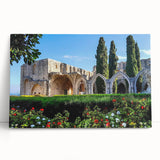 Black and white stretched canvas of a European Cyprus landscape, suitable for kitchen wall art.