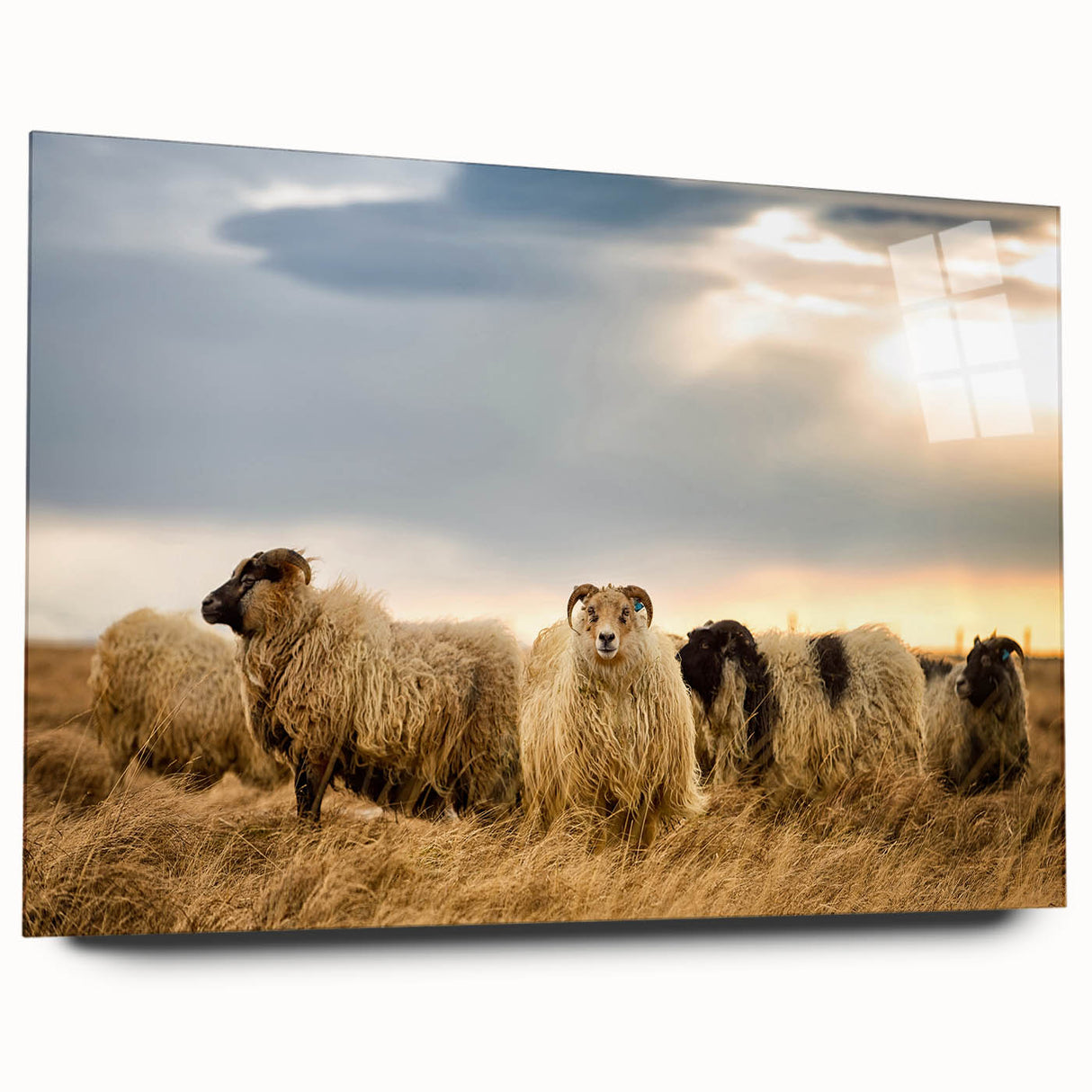 Large abstract wall art of a serene Icelandic landscape on acrylic glass, in muted gray and blue tones.