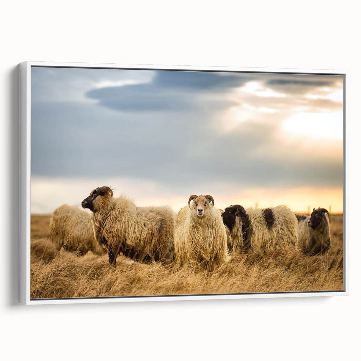 Vintage poster art of a scenic European landscape in Iceland on a framed canvas.