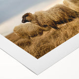 Art deco poster of a serene Iceland landscape in pastel blue and green tones on rolled canvas.