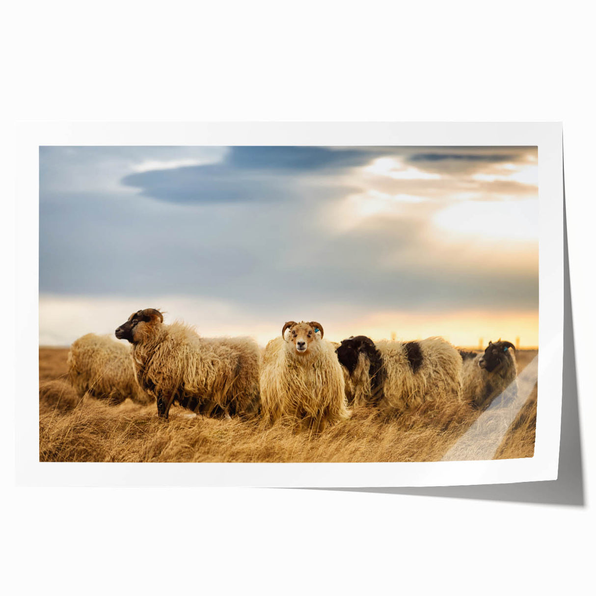 Extra large rolled print of a serene Icelandic landscape, featuring muted green and blue tones.