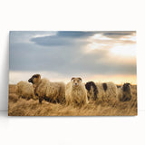 Black and white photograph of a serene Icelandic landscape on large stretched canvas, suitable for kitchen wall art.