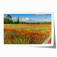 Scenic Tuscany landscape print on rolled canvas, featuring expansive fields in muted greens and yellows.