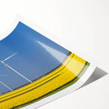 Extra large wall art featuring line art flowers in black on white, ideal for large living room decor.