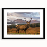 Abstract art print of a colorful Scottish landscape in vibrant hues on a large textured canvas, ideal for living room decor.