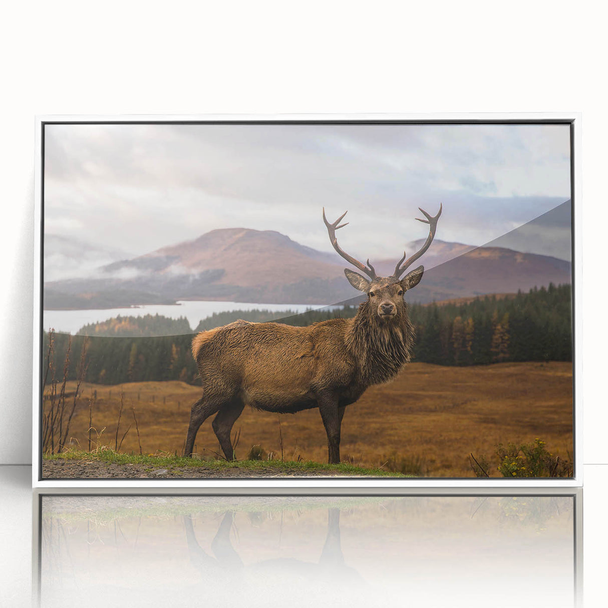 Mid-century modernist art depicting a serene Scottish landscape in muted green and blue tones, acrylic print in white frame.