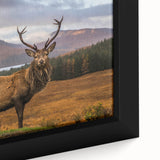 Extra large framed canvas featuring a textured black wall art of a Scottish landscape in vibrant colors.