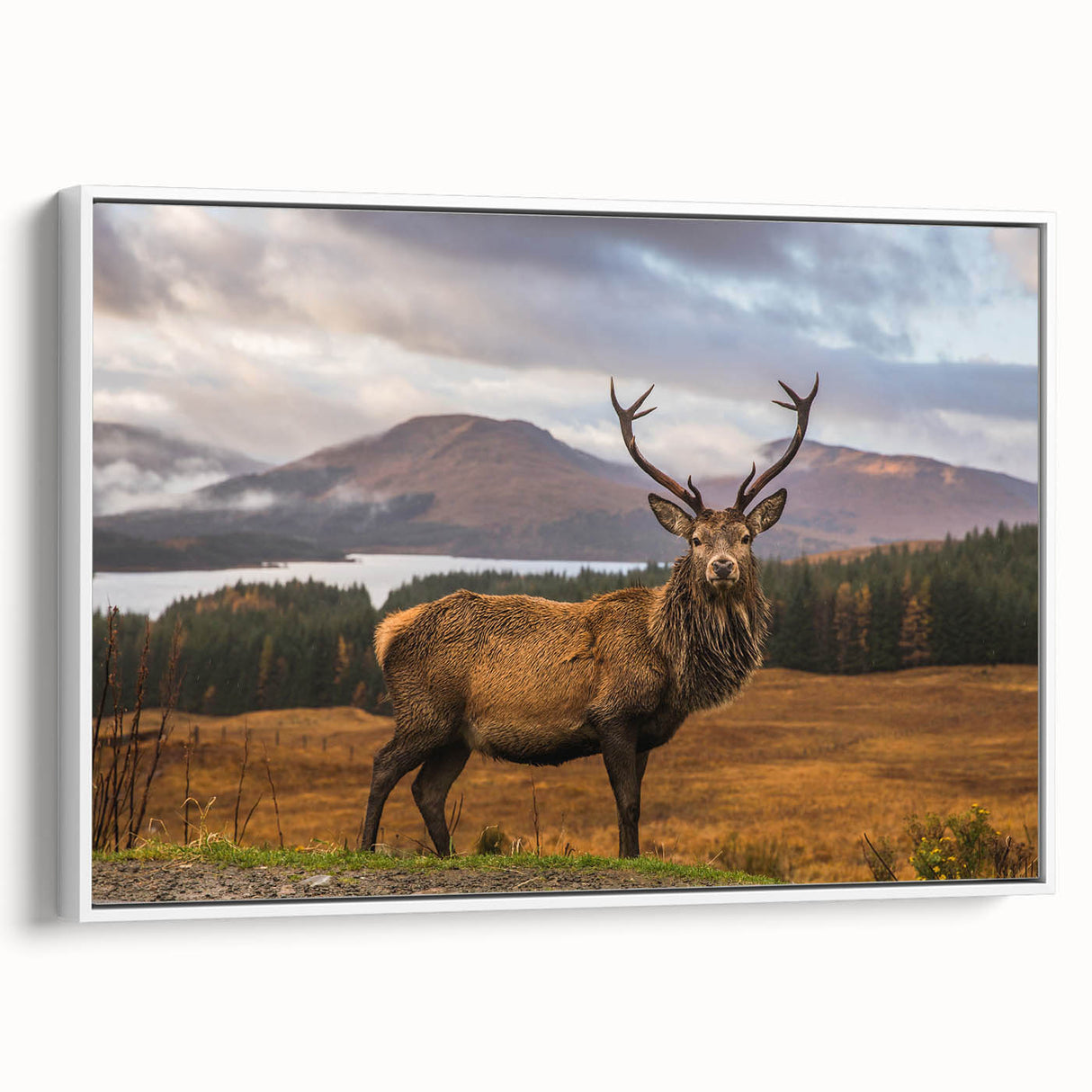 Vintage poster art of a Scottish landscape on framed canvas, featuring muted earth tones, ideal for living room decor.