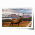 Extra large rolled print of a Scottish landscape, featuring muted green and blue tones, ideal for art wall dining room.