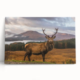 Black and white photograph of a Scottish landscape on large stretched canvas, suitable for kitchen art.