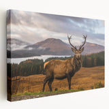 Large canvas print of a serene Scottish landscape in muted green and blue tones, ideal for kitchen wall art.