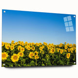 Large abstract wall art depicting a vivid European scenery, printed on acrylic glass.