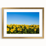 Extra large abstract art print depicting a textured European scenery in muted gold and brown tones, framed with mat.