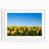 Abstract art print of a European landscape in muted blues and greens, framed with a white mat, ideal for dining room decor.