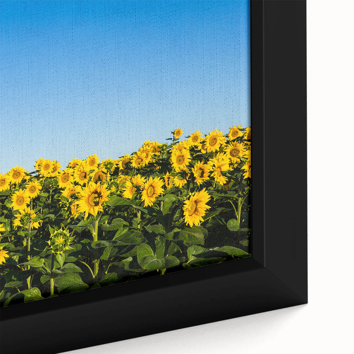 Extra large framed canvas depicting a textured, colorful Ukrainian scenery in black, ideal for living room decor.