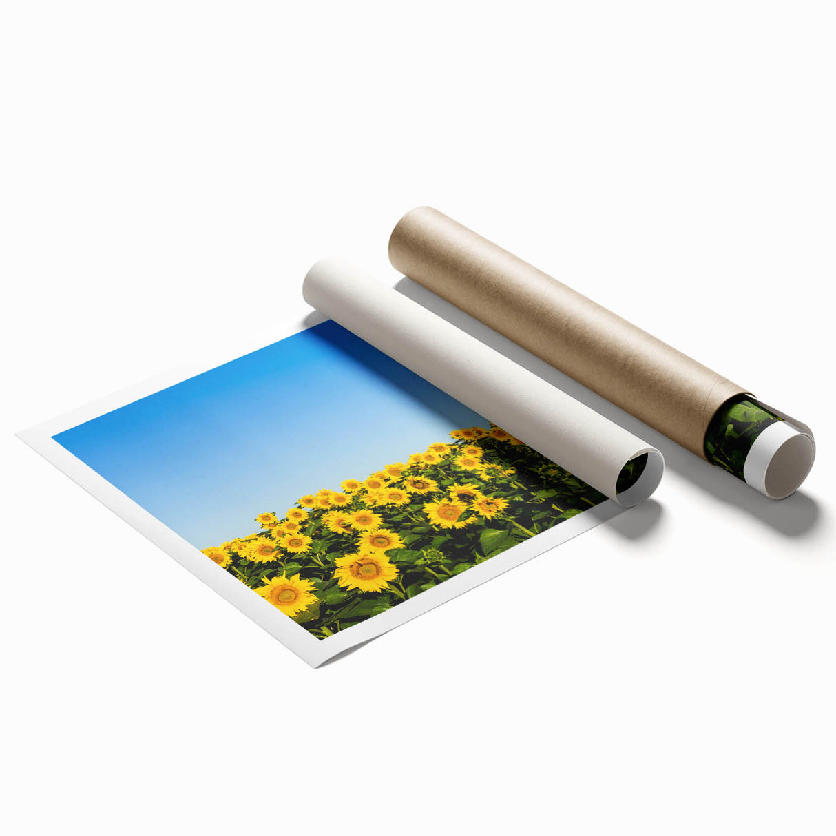 Extra large rolled print of a floral scene in muted greens and pinks, ideal for classy bathroom wall art.