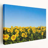 Large canvas print of a serene Ukrainian landscape in soft green and blue tones, ideal for kitchen wall art.