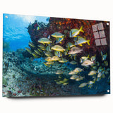 Acrylic print of Quintana Roo scenery with vivid blue ocean and sky tones, ideal for bedroom or dining room decor.