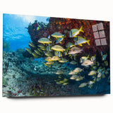 Large abstract wall art of Quintana Roo scenery in vibrant blues and greens on acrylic glass.