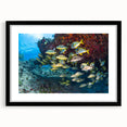 Extra large framed abstract art print depicting a vibrant, colorful Mexican Quintana Roo scenery on textured canvas.