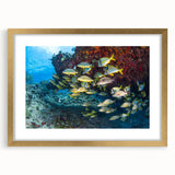 Extra large abstract art print featuring textured scenery of Quintana Roo in a gold frame, ideal for living room decor.