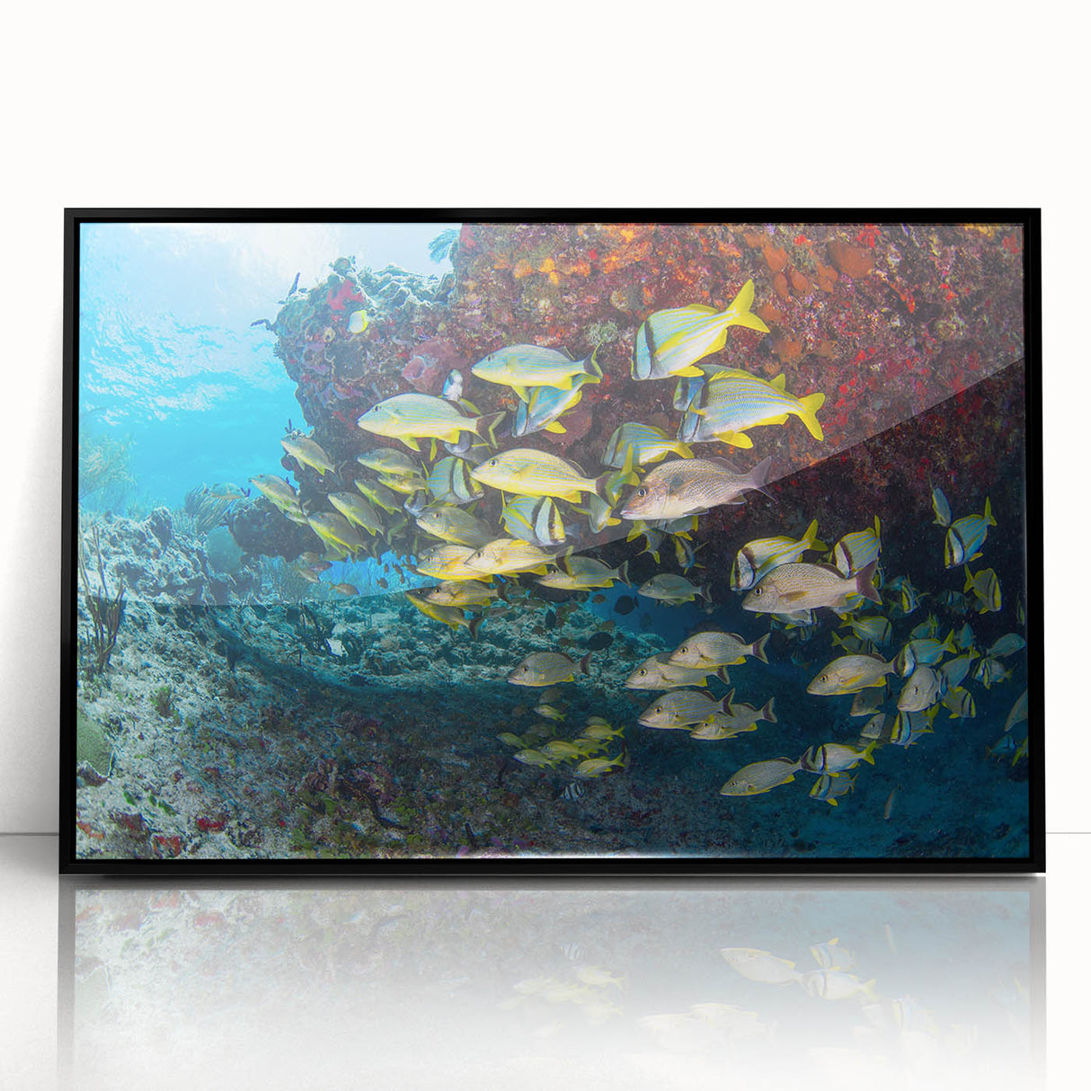 Acrylic print of a scenic Quintana Roo landscape in muted blue tones, framed in black, suitable for modern art wall decor.
